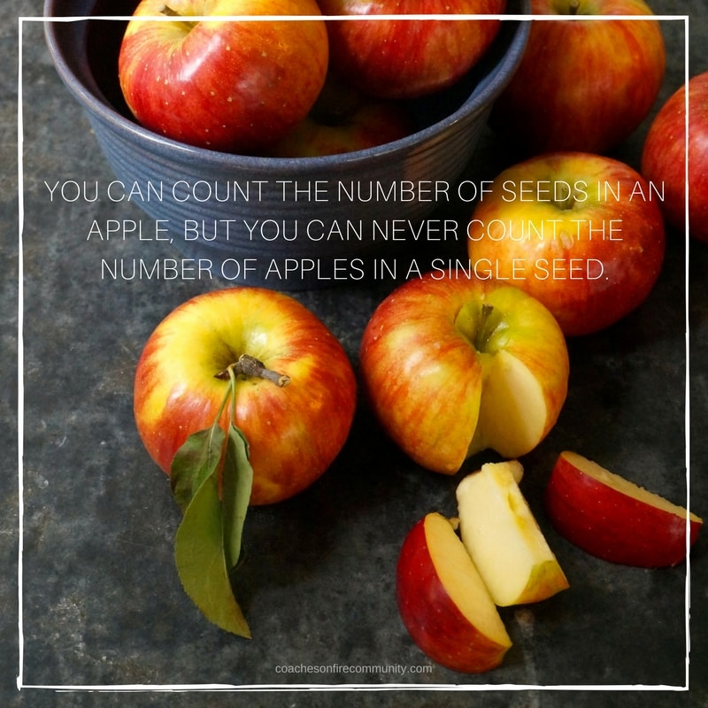 You-can-count-the-number-of-seeds-in-an-apple-but-you-can-never-count-the-number-of-apples-in-a-single-seed.-min